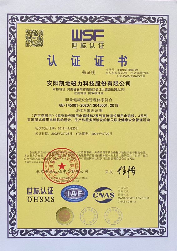 Occupational Health Chinese